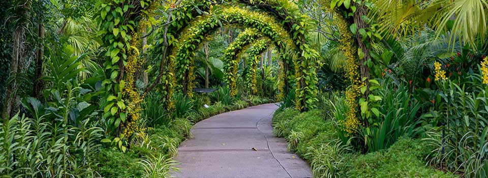 Green park landscaping