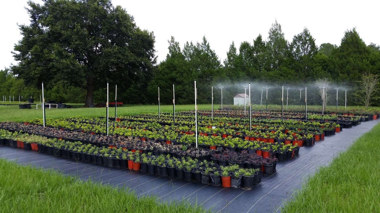 What Planting Zone Am I In Find Plant Hardiness Zone Map Highland Grove Landscaping and Nursery