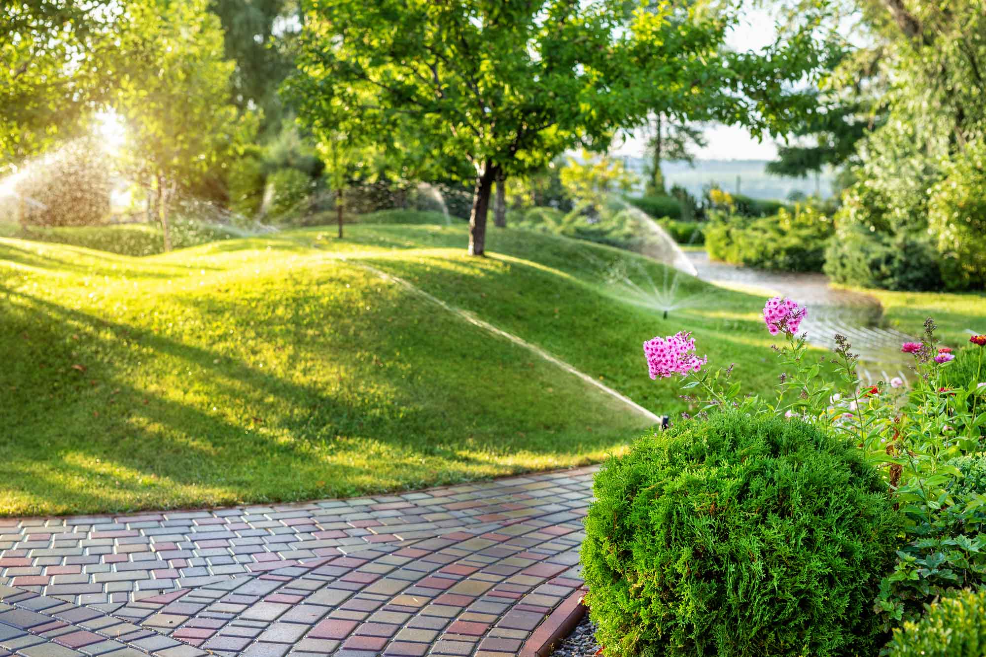 Landscape watering