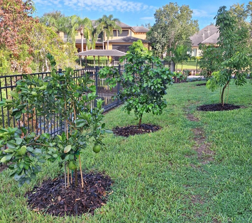 6712892c 4070 4c10 Baf3 6dcd4b3ae115 1024x905