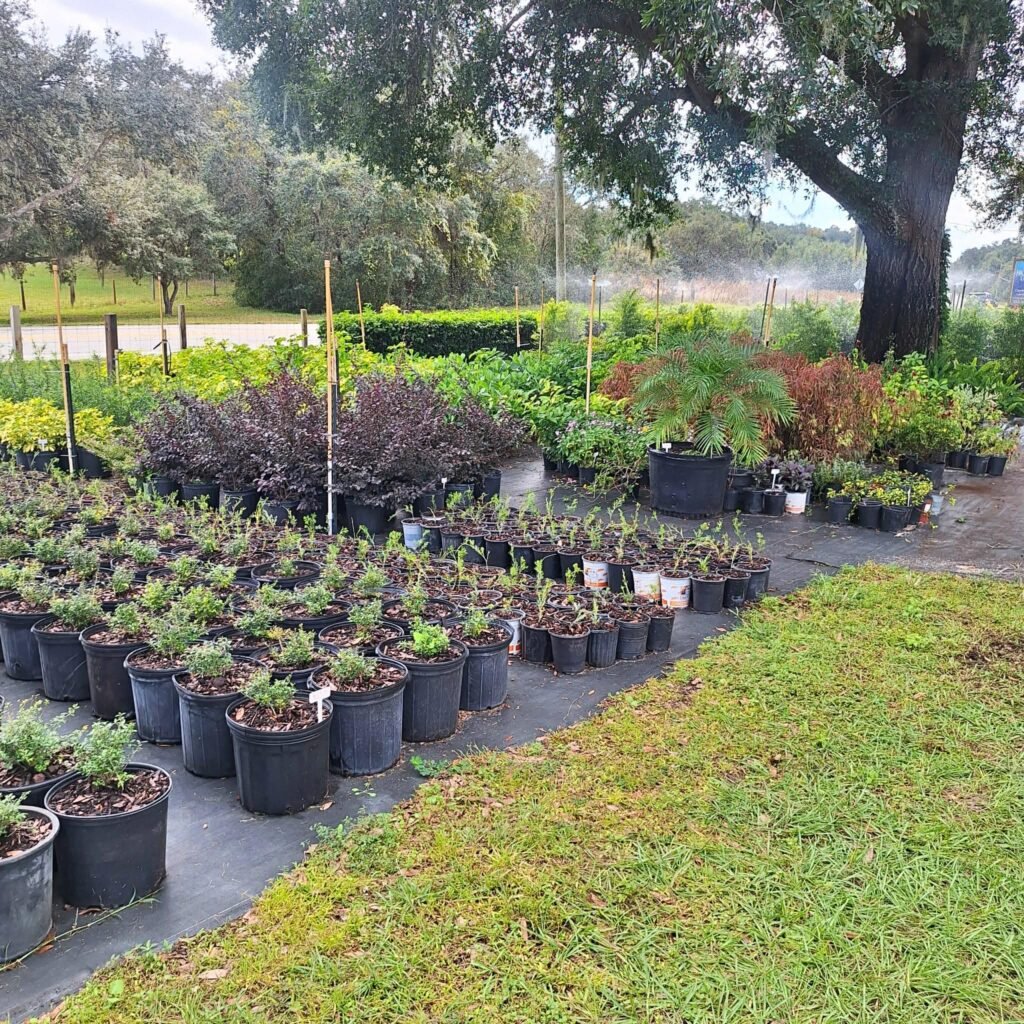 Be41fdc8 D2f1 41f7 8700 1d2706029226 1024x1024